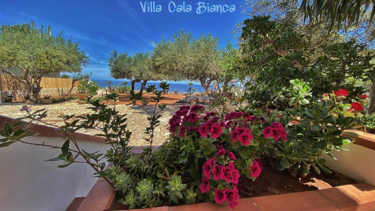 Villa Cala Bianca Castellammare del Golfo Bagian luar foto